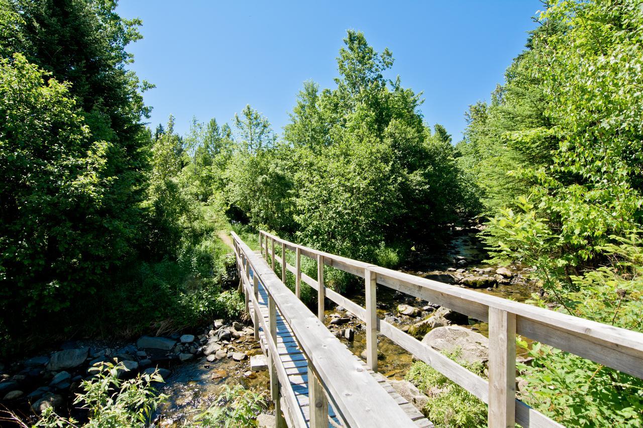 Camping Chalets Spas Pignons Rouges Saint Romain エクステリア 写真