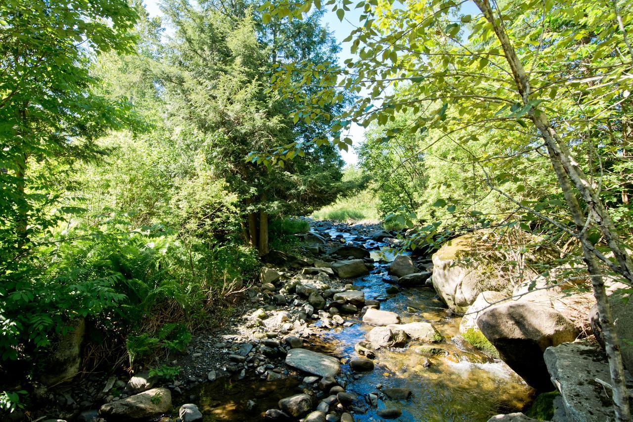 Camping Chalets Spas Pignons Rouges Saint Romain エクステリア 写真