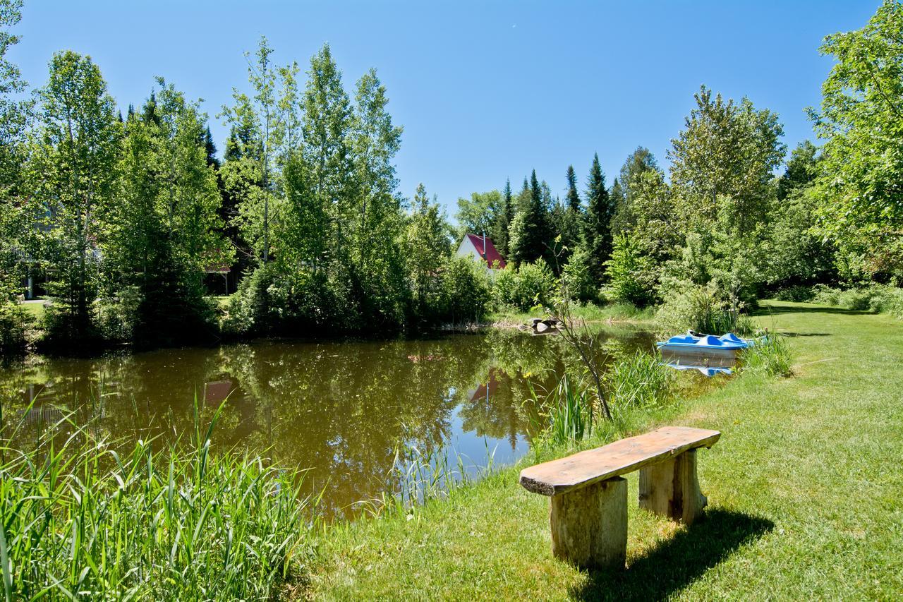 Camping Chalets Spas Pignons Rouges Saint Romain エクステリア 写真