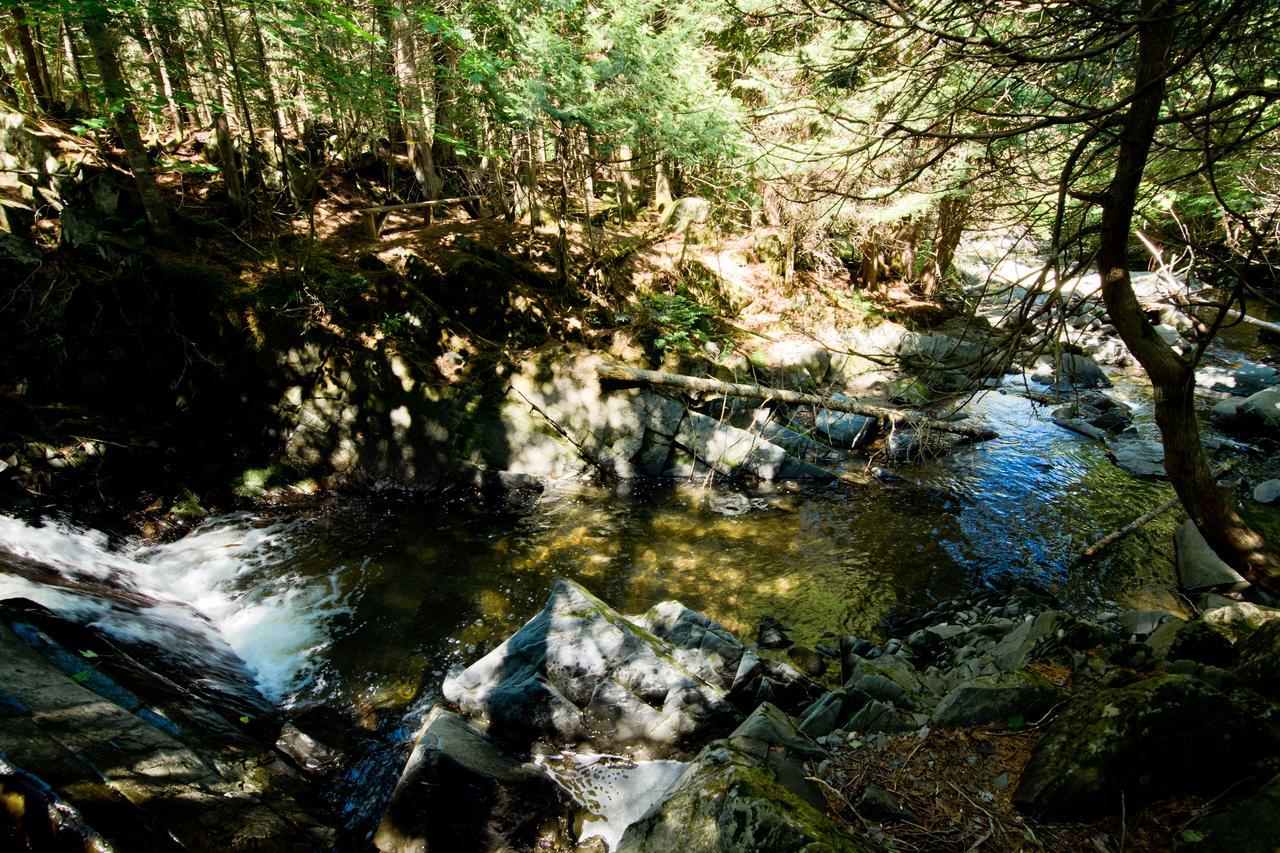Camping Chalets Spas Pignons Rouges Saint Romain エクステリア 写真