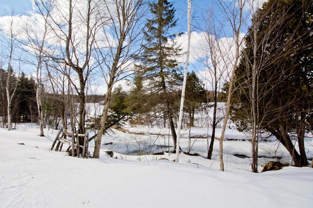 Camping Chalets Spas Pignons Rouges Saint Romain エクステリア 写真