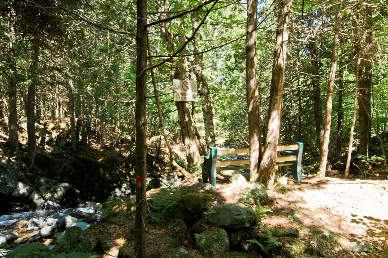 Camping Chalets Spas Pignons Rouges Saint Romain エクステリア 写真